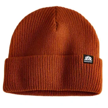 Autumn Simple Beanie 2025