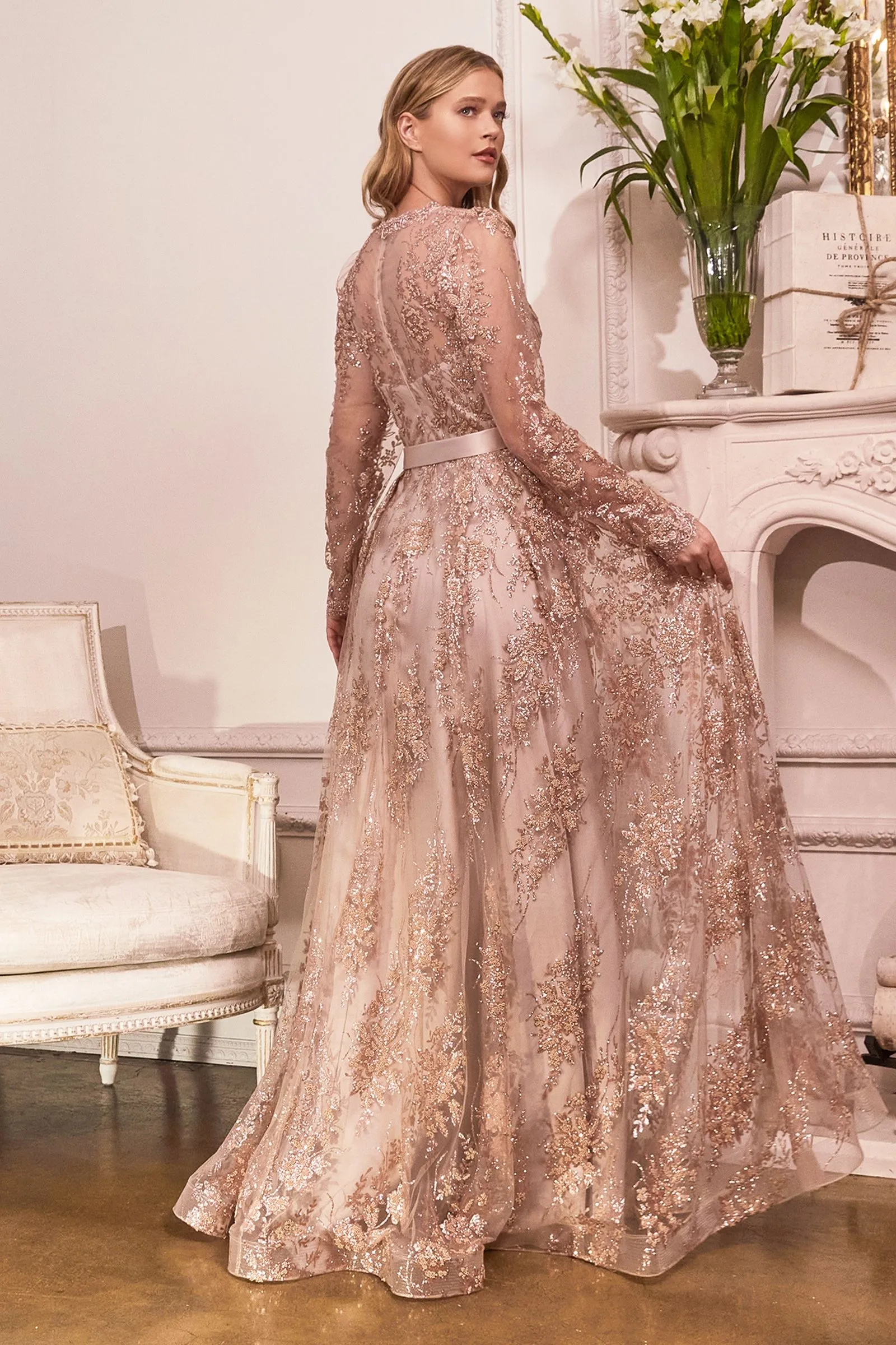 Embellished Ball Gown, Long Sleeve CDCD233